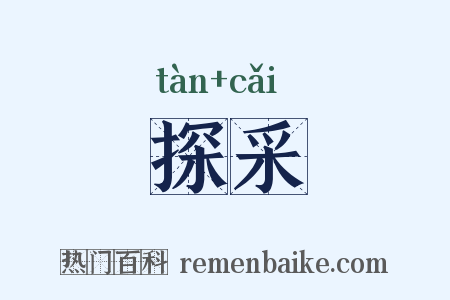 探采是什么意思的图片